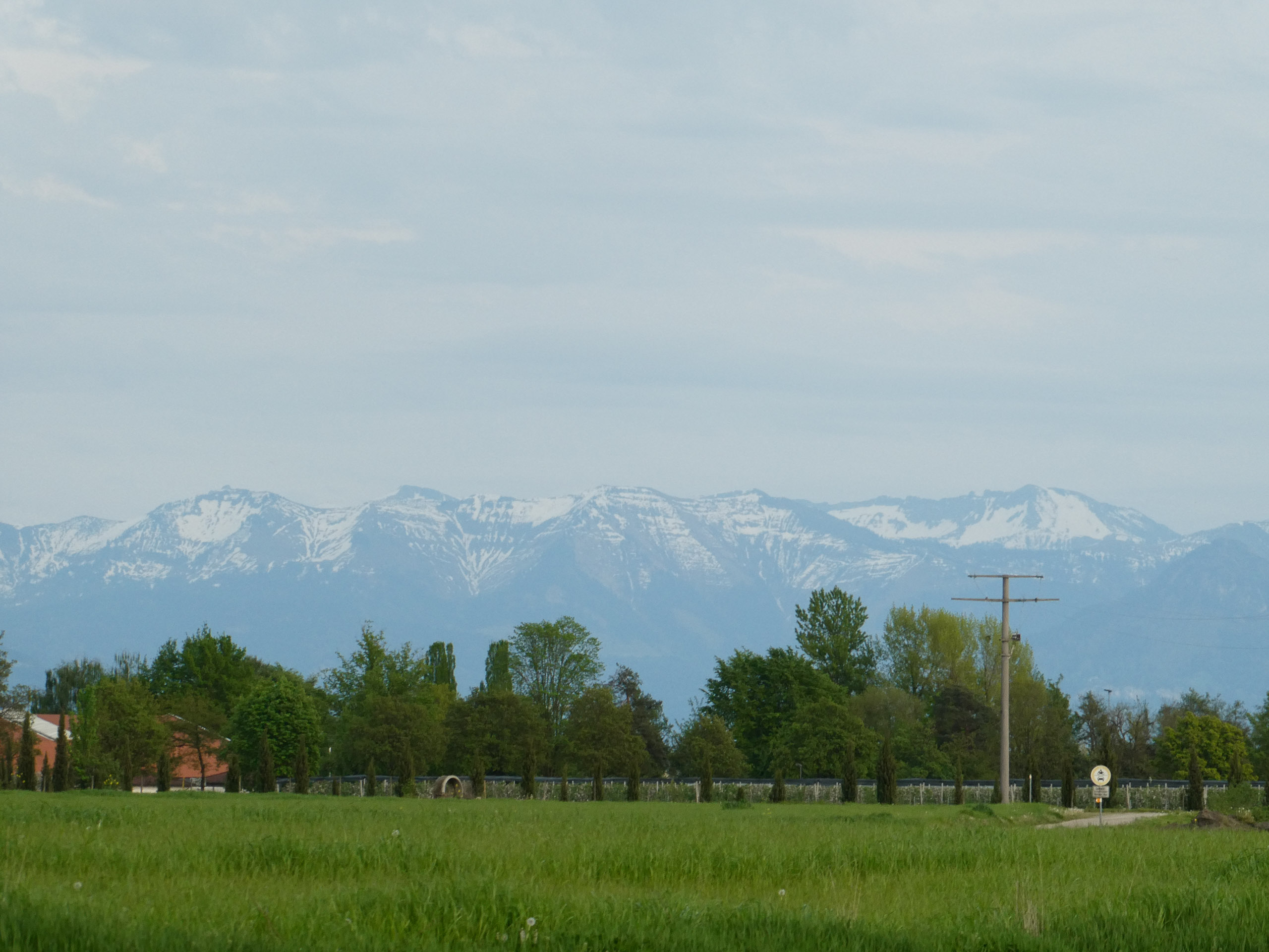 20230506194848 P1000185